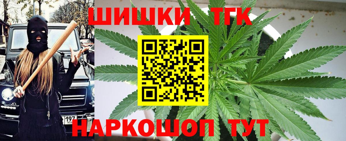 Канабис план Новодвинск